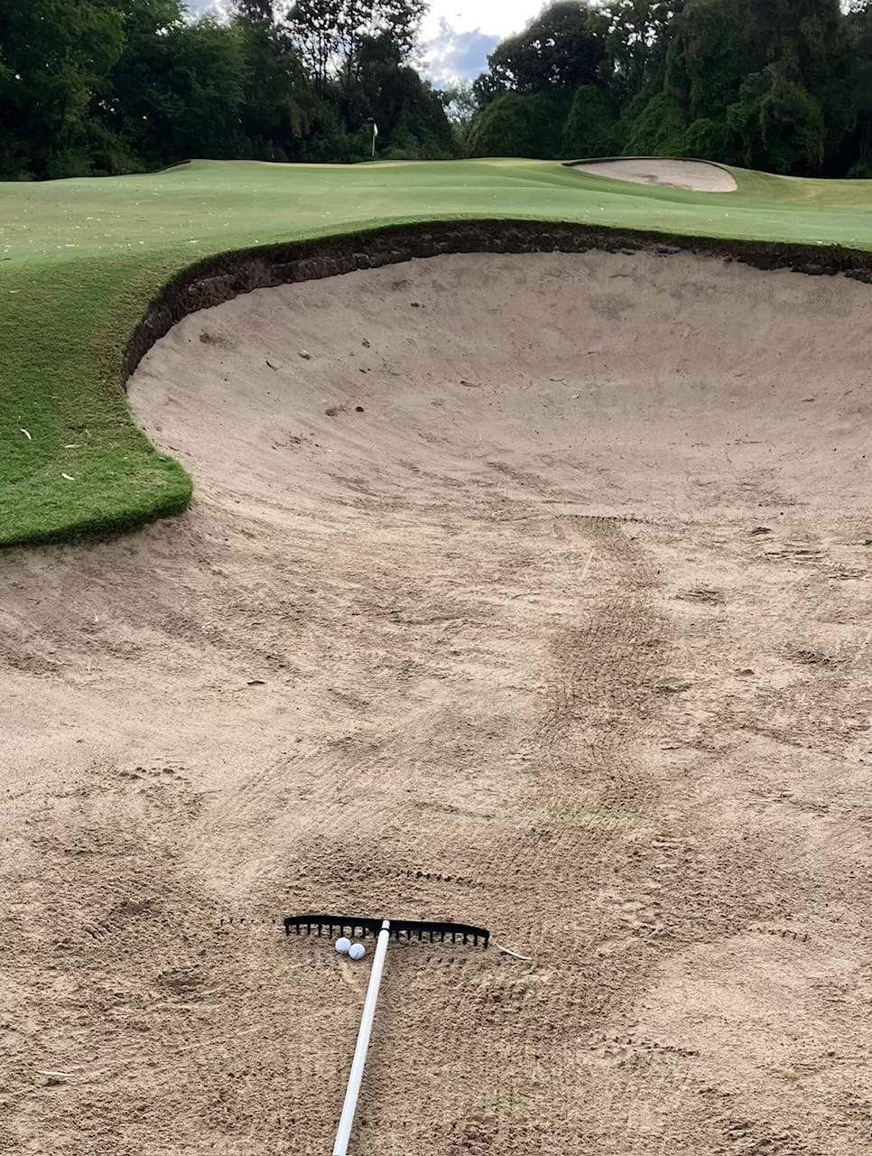 January Royal Queensland Monthly Event - Results