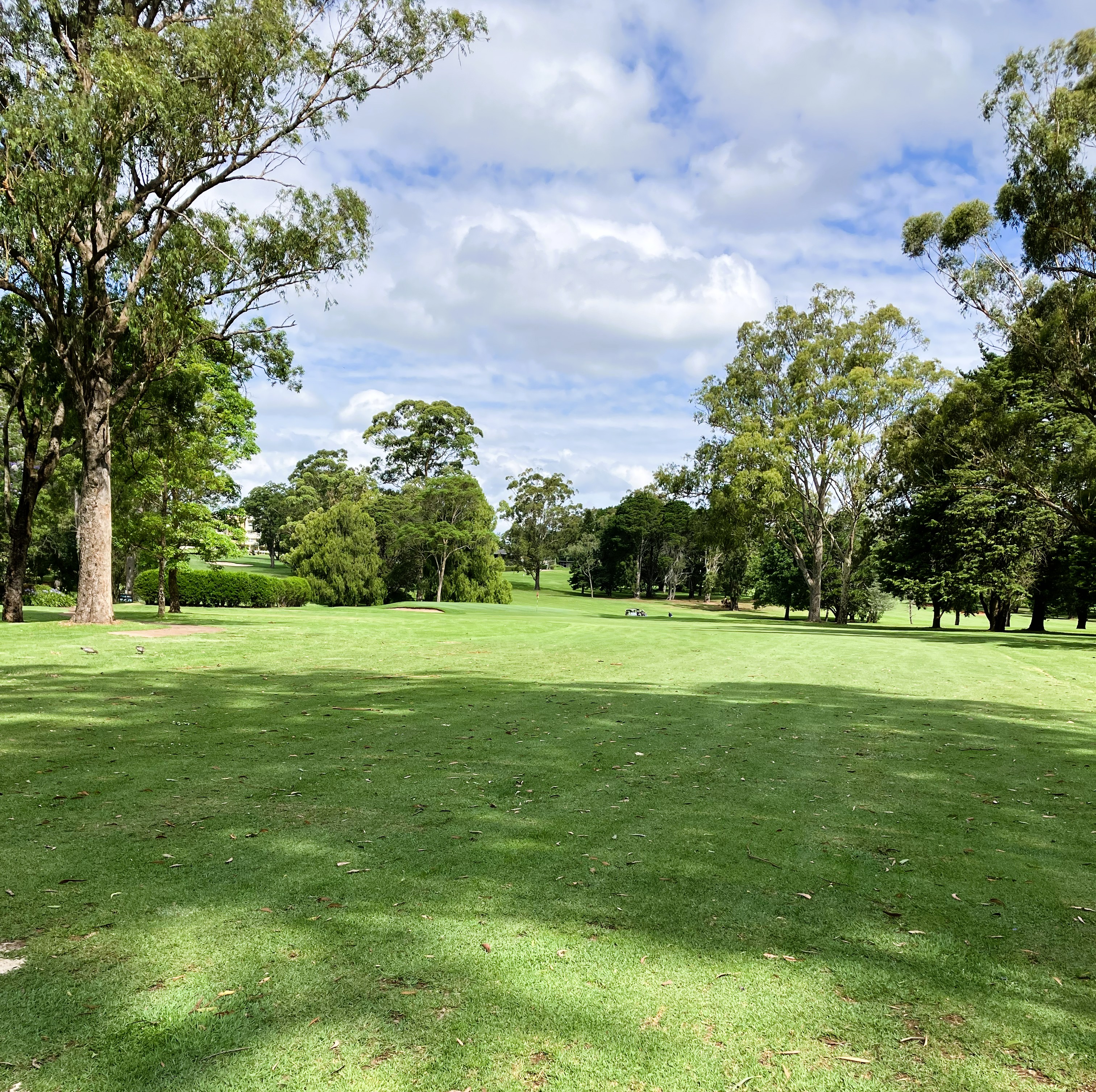 January Royal Queensland Monthly Event - Results